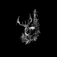 Elk Scene