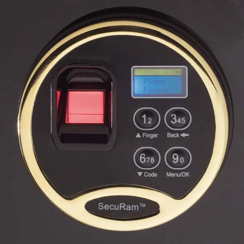SecuRam Biometric Lock - Image 2